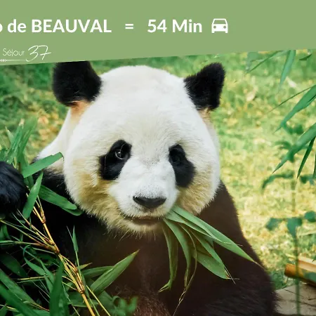 3# Central'tours - Hypercentre