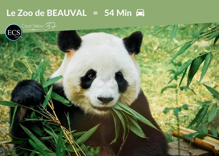 3# Central'tours - Hypercentre